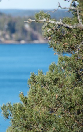 viken längre bort☼